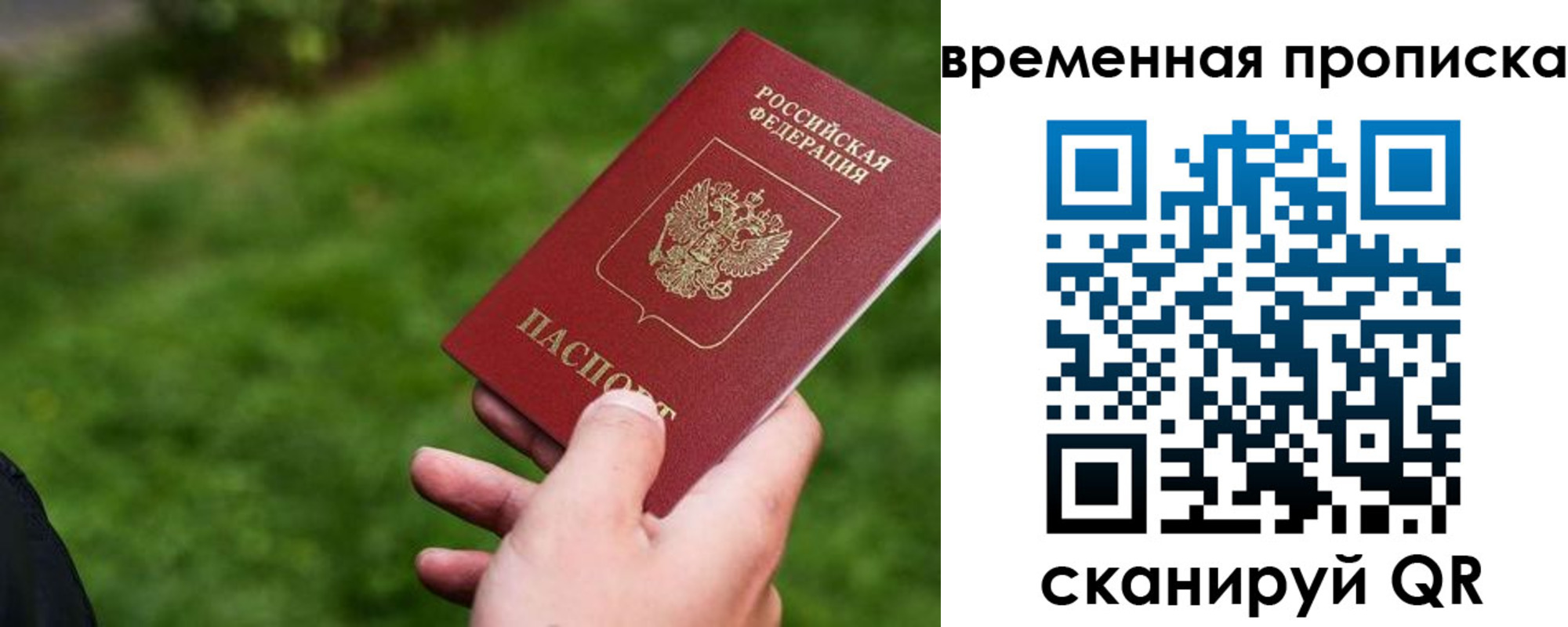 прописка 2025 в Мурино